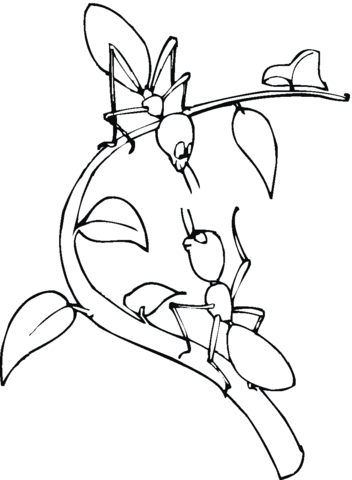 Two Ants On The Tree Branch Coloring Page